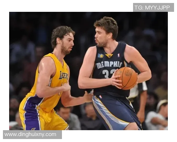 NBA 球队薪资结构平衡性对团队合作表现的影响与机制分析